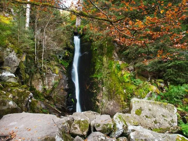 Image qui illustre: Balade De La Cascade Du Rudlin