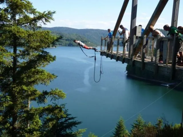 Image qui illustre: Aventure Parc