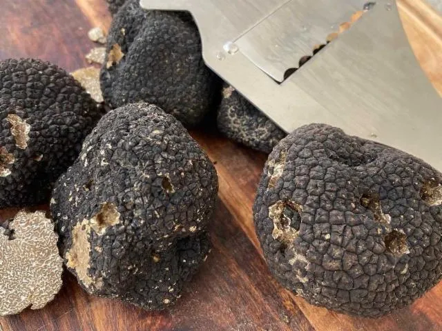 Image qui illustre: Truffière Du Plo Du Moulin