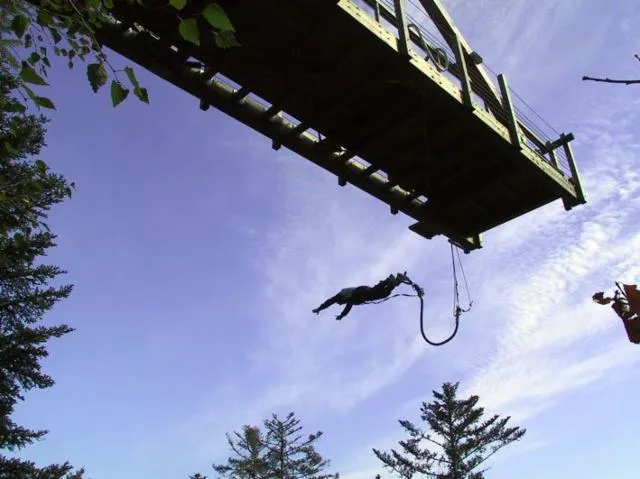 Image qui illustre: Aventure Parc