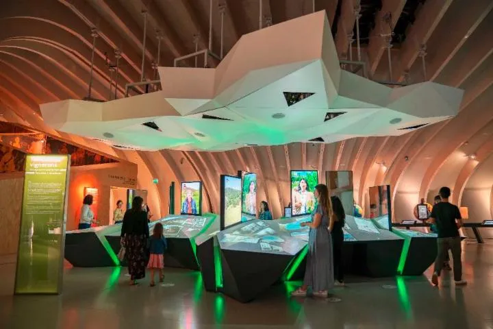 Image qui illustre: L'exposition permanente de La Cité du Vin