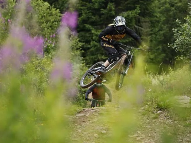 Image qui illustre: Stage - Perfectionnement Au Pilotage