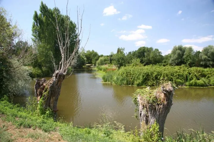 Image qui illustre: Circuit De L'ile Adet