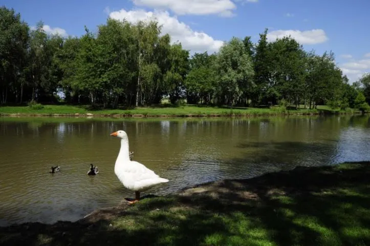 Image qui illustre: Circuit Des Bords De Loire