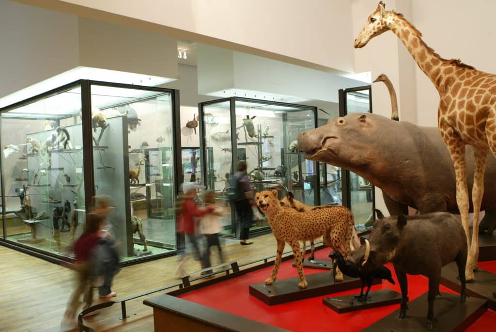 Museum-Aquarium de Nancy
