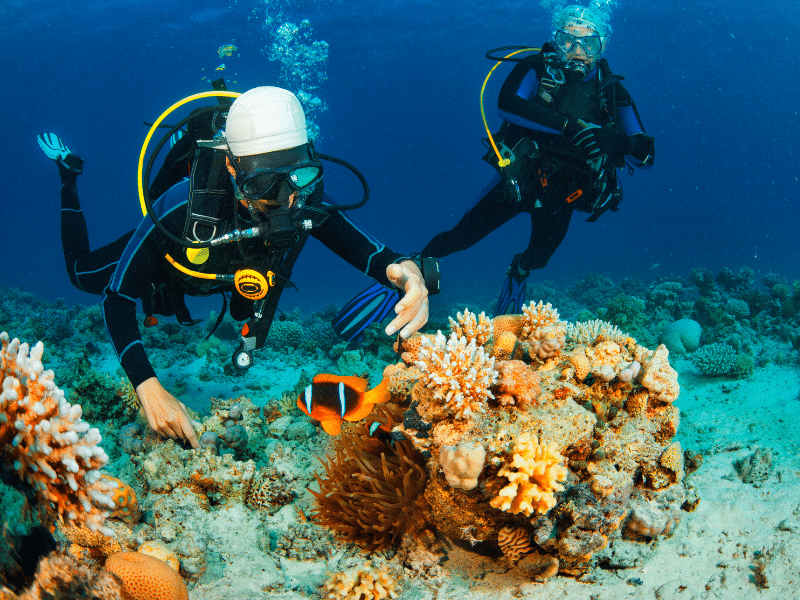plongée sous marine Nea Makri