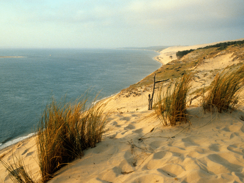 dune du pilat