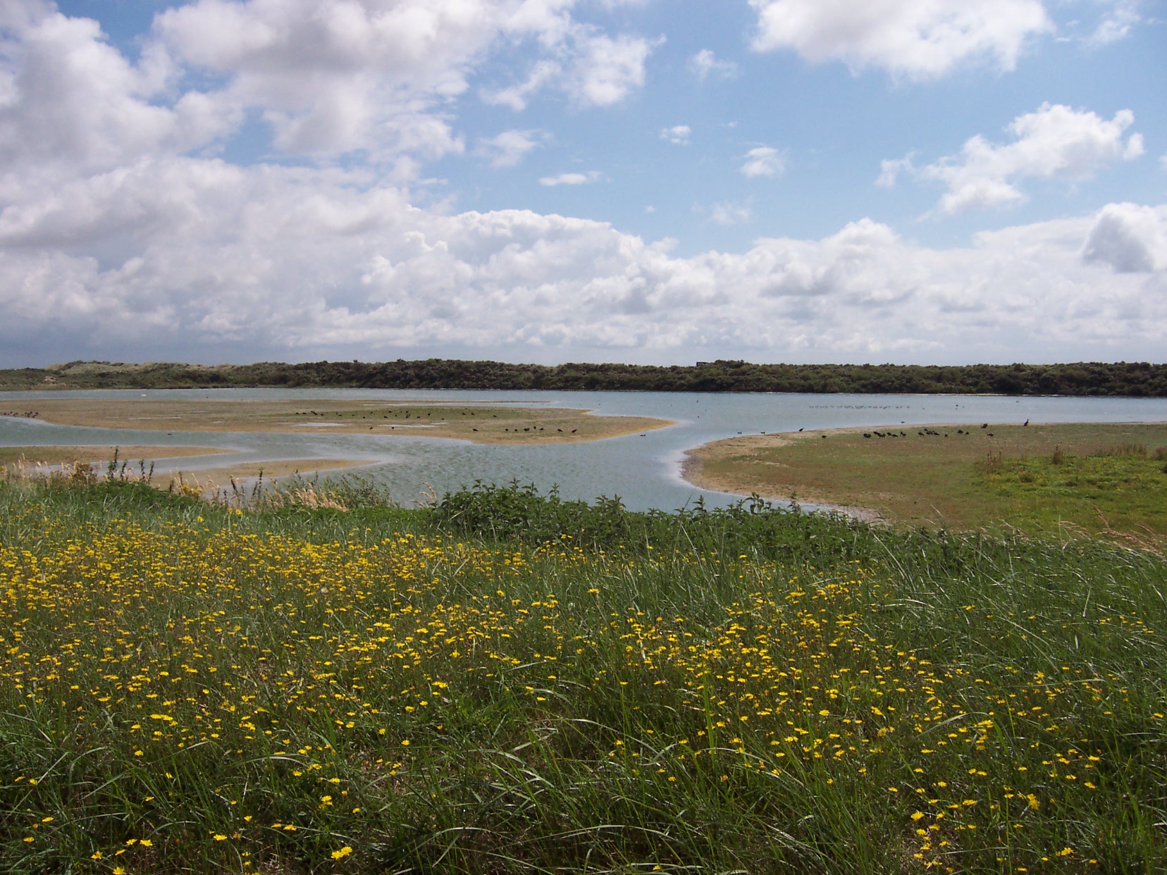 parc du Merquenterre - Baie de Somme