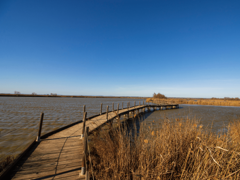 Reserve naturelle scamandre