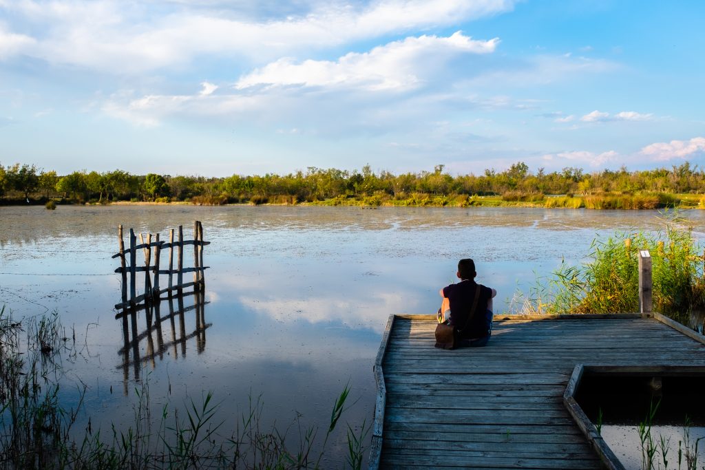 Marais du Vigueirat Camargue
