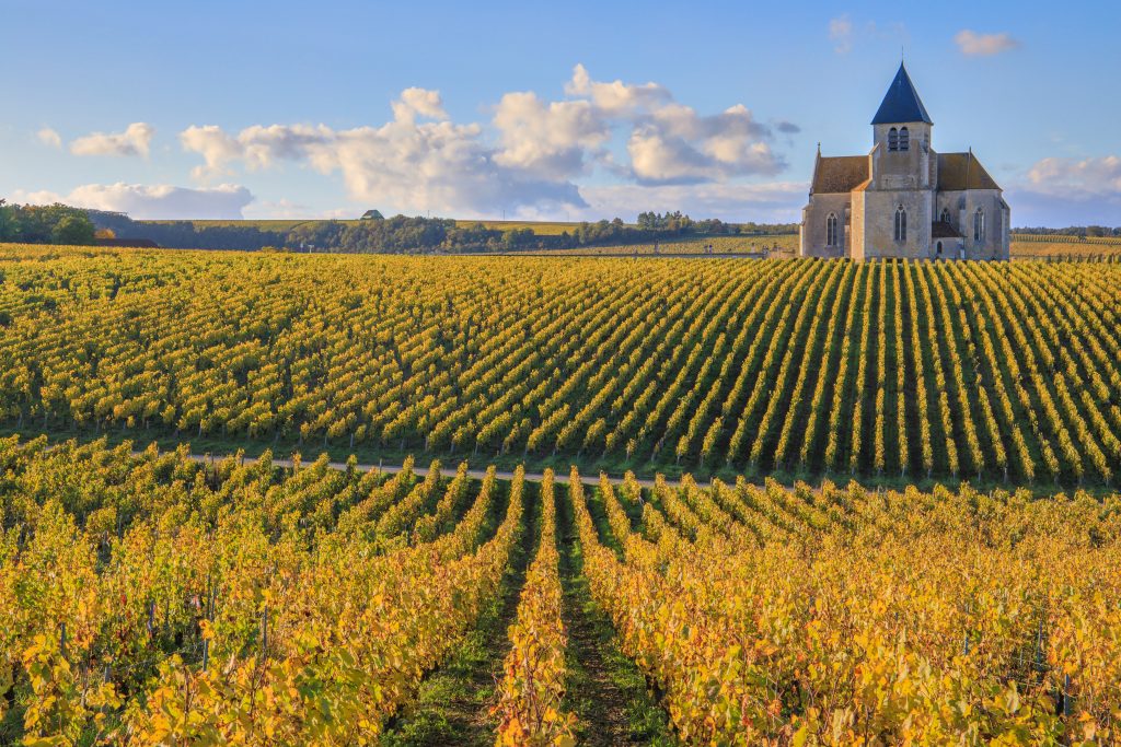 Église Saint-Claire de Préhy dans le vignoble de Chablis Bourgogne