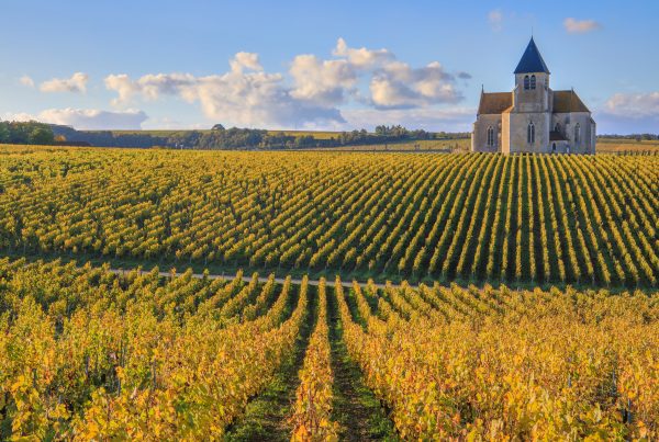 Église Saint-Claire de Préhy dans le vignoble de Chablis Bourgogne