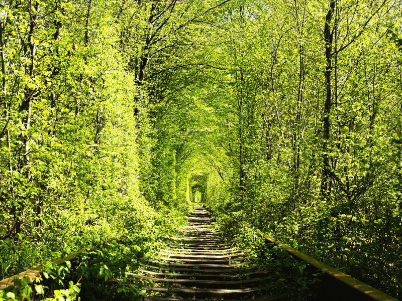 Le tunnel de l’amour à Klevan Ukraine