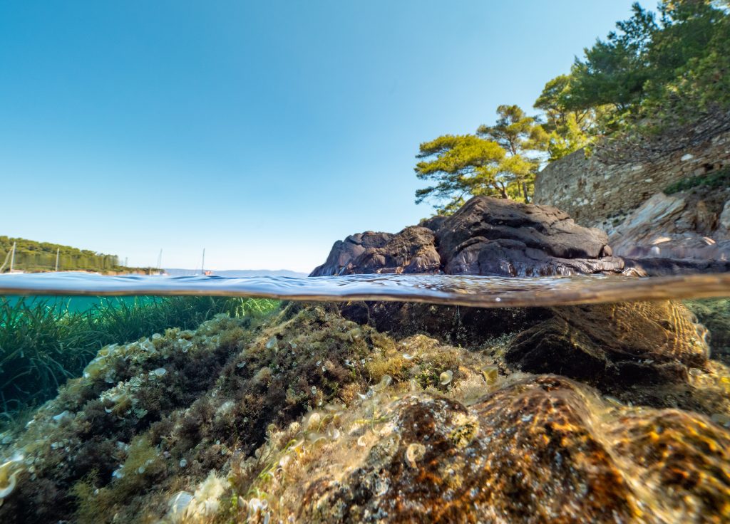 Parc national de Port-Cros 