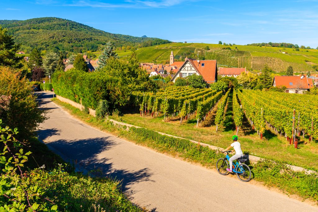 Vélo route des vins d'alsace