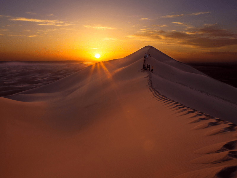 désert de Gobi Mongolie