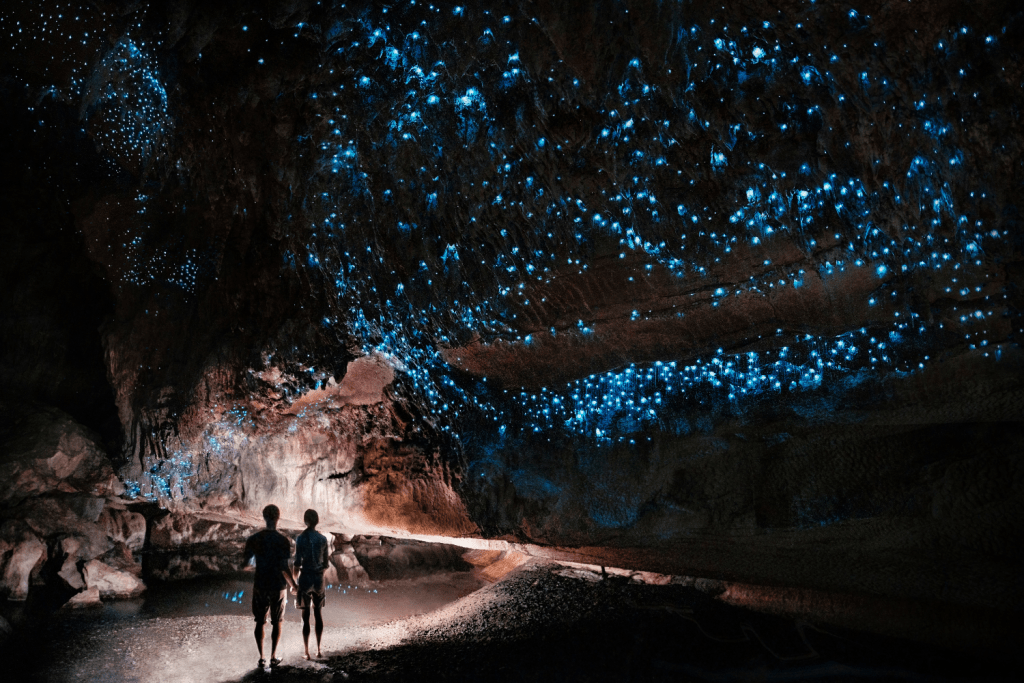 grotte nouvelle zelande
