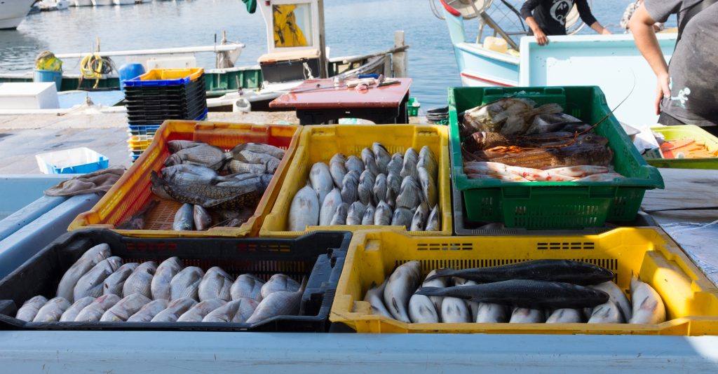 Marché Vieux Port Marseille