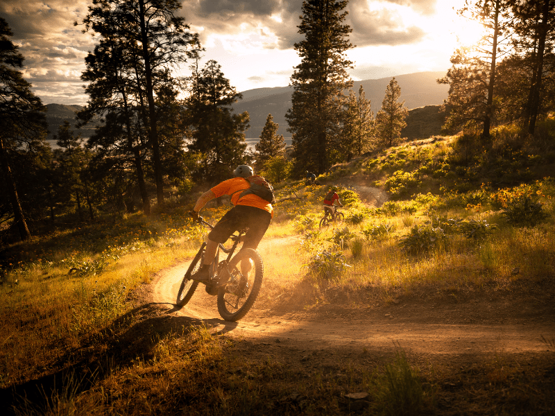 Où partir en France sans voiture ? 8 idées de destinations