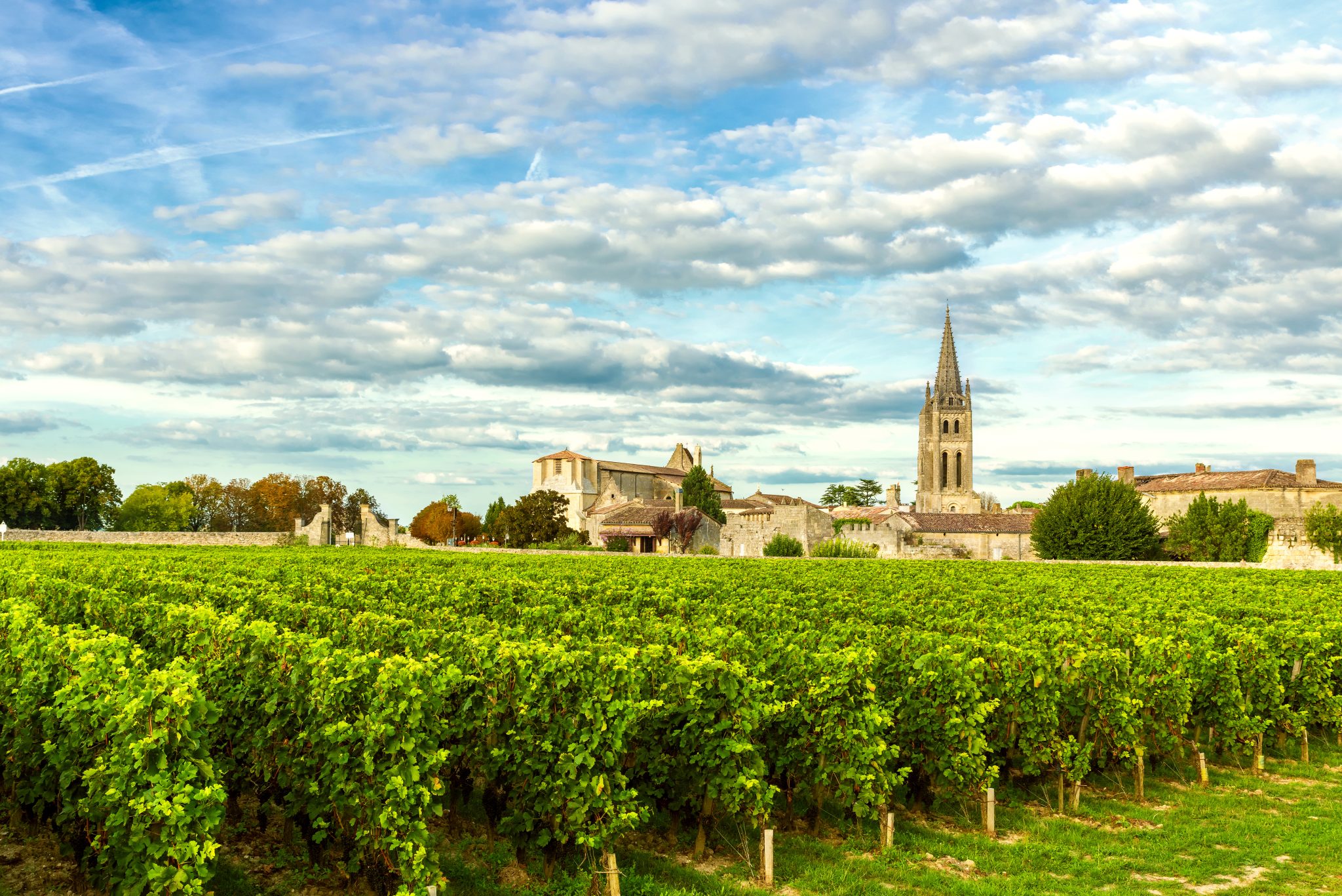vignoble bordelais saint emilion