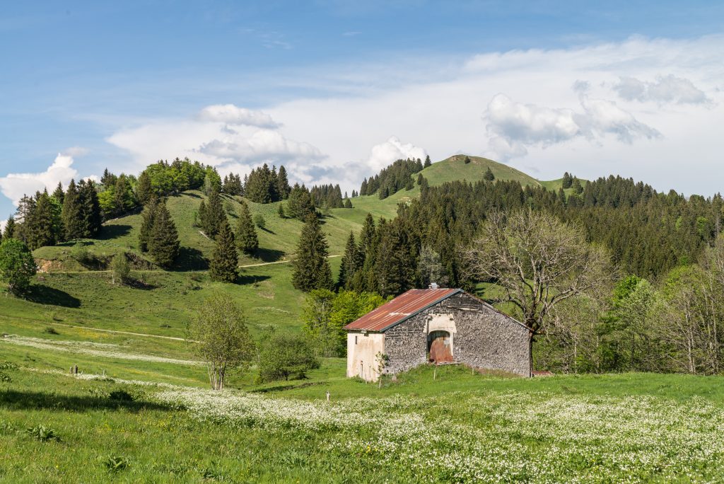 Paysage du Haut Jura - Ferme jurassienne - Crêt de Chalam, La Pesse, Haut Jura, France