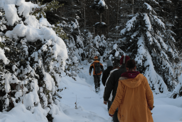 rando raquette nocturne vosges