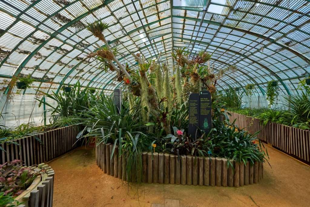 jardin des Serres d'Auteuil