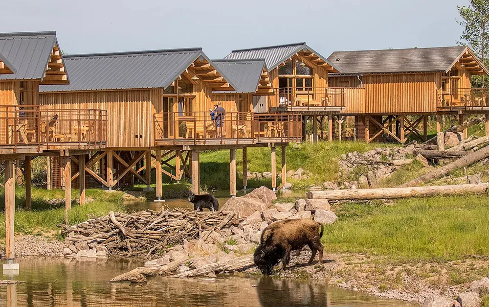 Illustration du guide: Lorraine ☝🏼