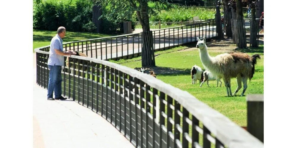 Illustration du guide: 9 Lieux à visiter à Épinal 