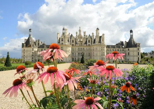 Image qui représente un ticket d'une activité (Billets coupe-file pour le château de Chambord) liée au point d'intéret
