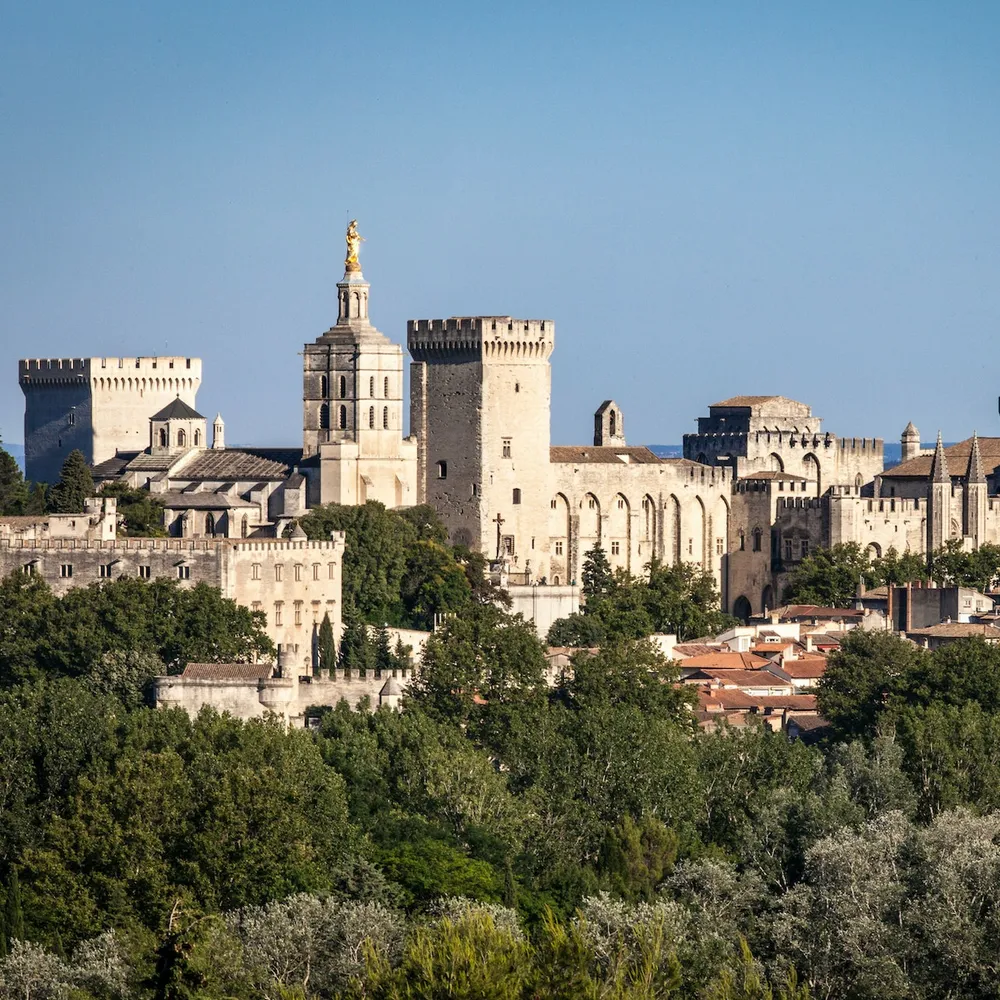 Image qui représente un ticket d'une activité (Palais des Papes & Pont d'Avignon) liée au point d'intéret