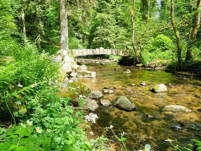Image qui illustre: Les Îles Marie-louise