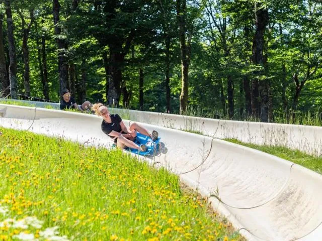 Image qui illustre: Luge D'ete A La Schlucht