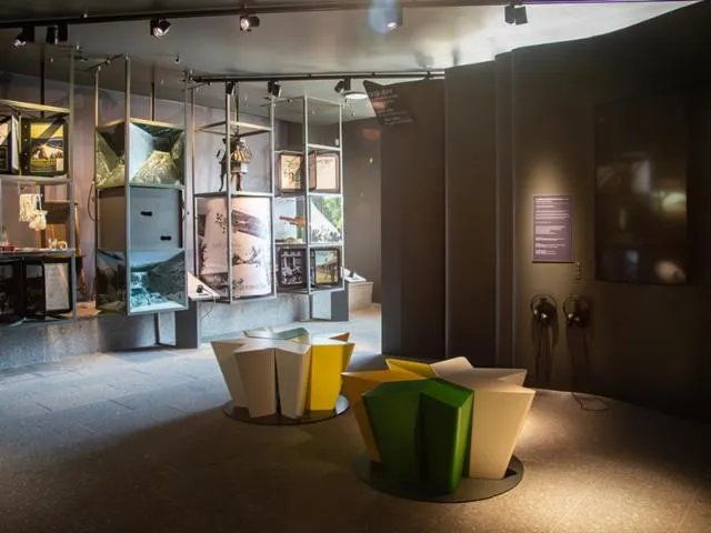 Image qui illustre: Espace De Découverte Du Col De La Schlucht