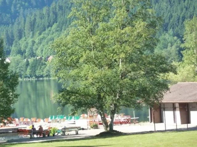 Image qui illustre: Aire Beach Volley A Longemer