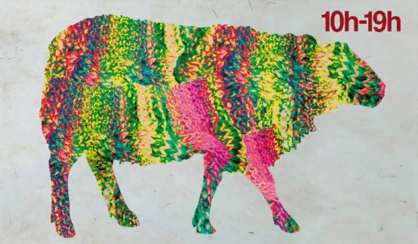 Image qui illustre: Marché Laine Et Soie