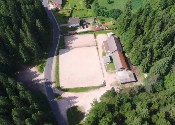 Image qui illustre: Les Crins de Ramberchamp