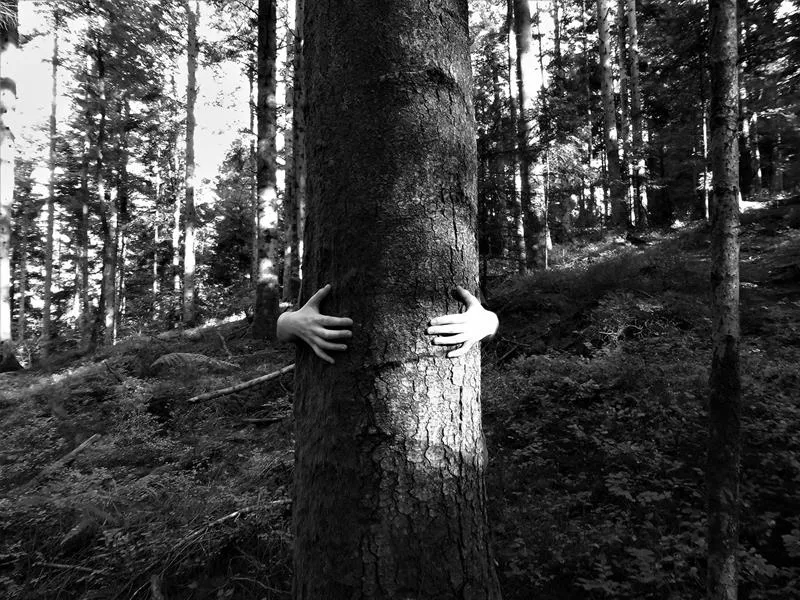 Image qui illustre: Exposition: Du Bout Des Doigts à Épinal - 1