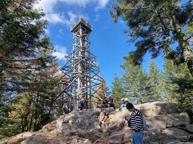 Image qui illustre: La Tête De Merelle