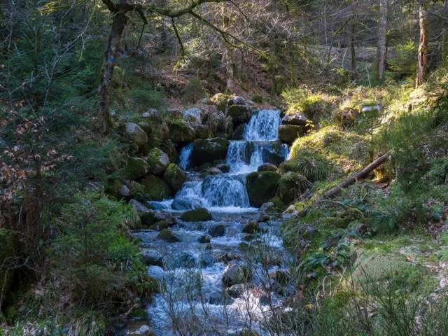 Image qui illustre: Cascade De Morbieux