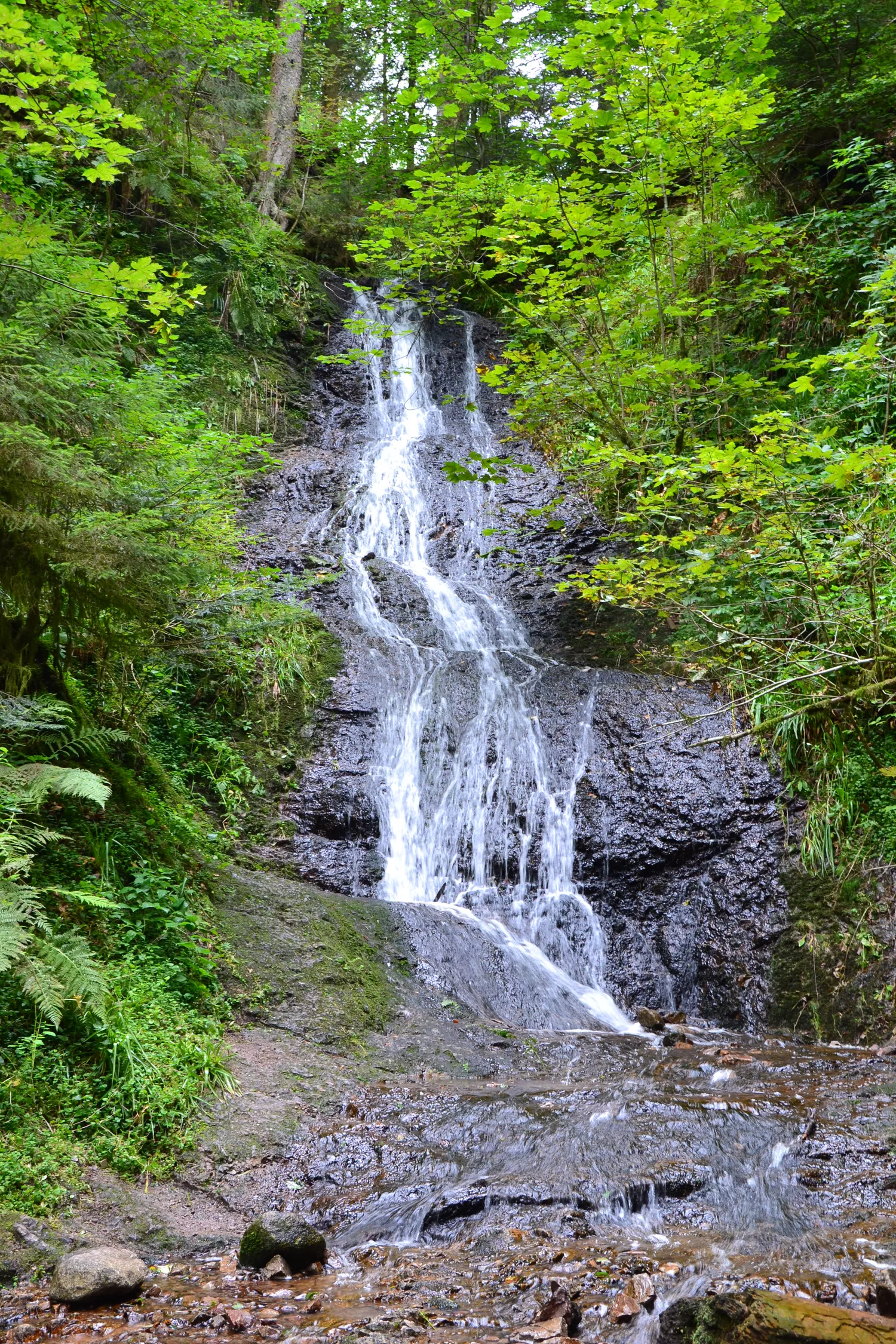 Image qui illustre: Le Saut De La Bourrique à Gérardmer - 2