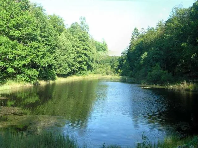 Image qui illustre: Circuit St Antoine Bouzey