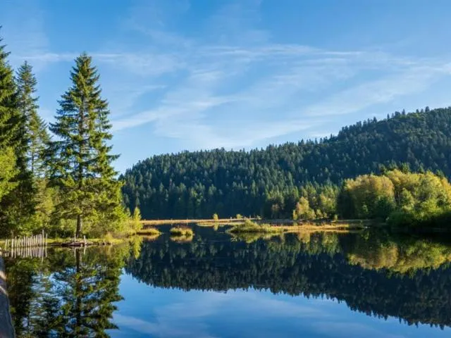 Image qui illustre: Le Lac De Lispach