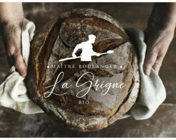 Image qui illustre: La Grigne Bio