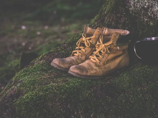 Image qui illustre: Circuit Hadol Haute