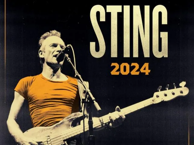 Image qui illustre: Festival De Carcassonne - Sting
