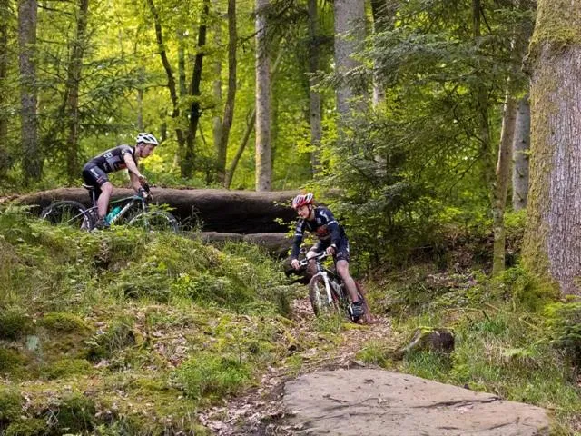 Image qui illustre: Circuit Vtt N°94 Bertramenil