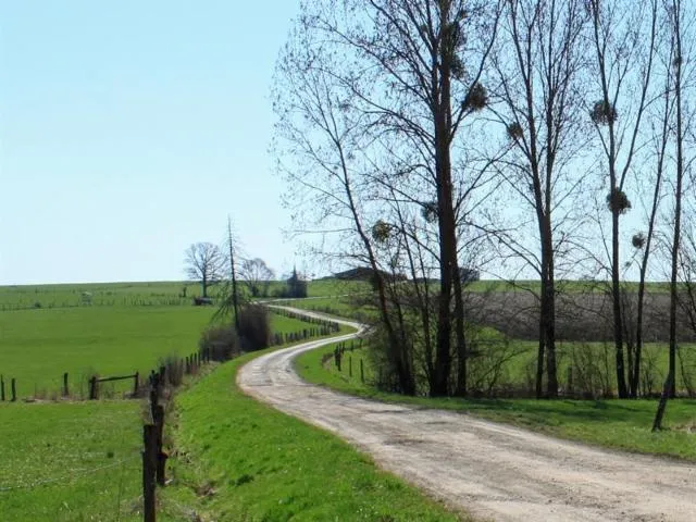 Image qui illustre: Circuit Des Verriers Et Du Massif Forestier De Moriville