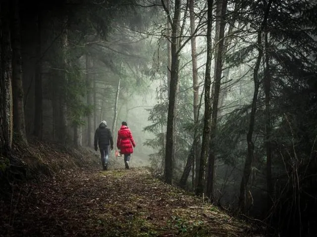 Image qui illustre: Circuit Les Bois Des Rossieux