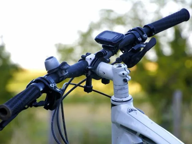 Image qui illustre: Circuit Vtt N°87 L'abbaye